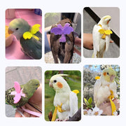 Parrot Bird Harness Leash Adjustable Flying Training Rope Cockatiel Conure Budgie - Pink V528-TRAININGROPECOCKATIEL-PINK-86733