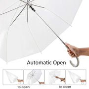 Clear Transparent Umbrella Long Handle Auto Open PVC Rain Parasol 71cm V528-TRANSPARENTUMBRELLA-465124