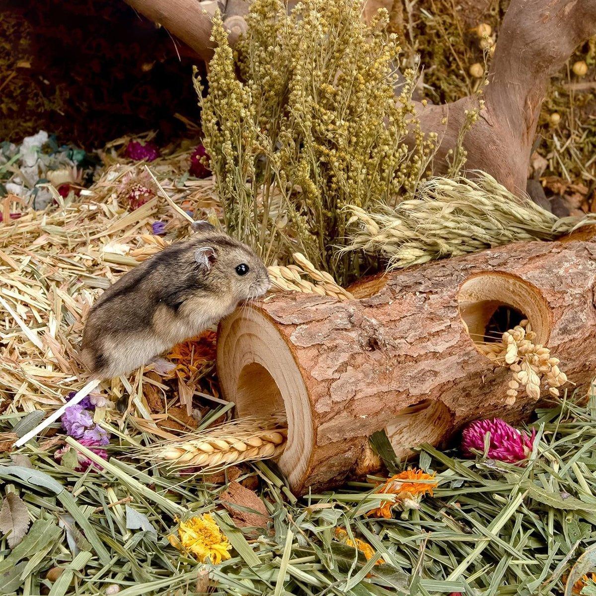Solid Wood Hamster Pipe Rabbit Chew Toy Tree Cylinder Cross Border Pet Supplies V528-TREE-BARREL-20CM-675095