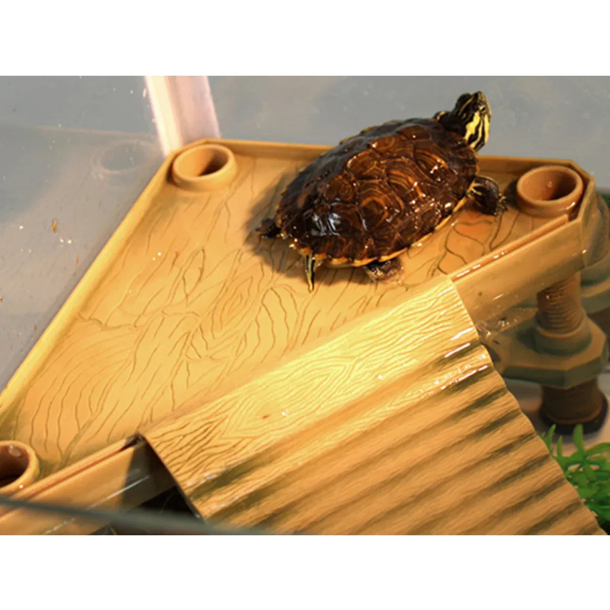 Floating Turtle Platform with Climbing Ramp for Aquariums and Reptile Tanks V528-TURTLE-BASKING-GREEN-533226