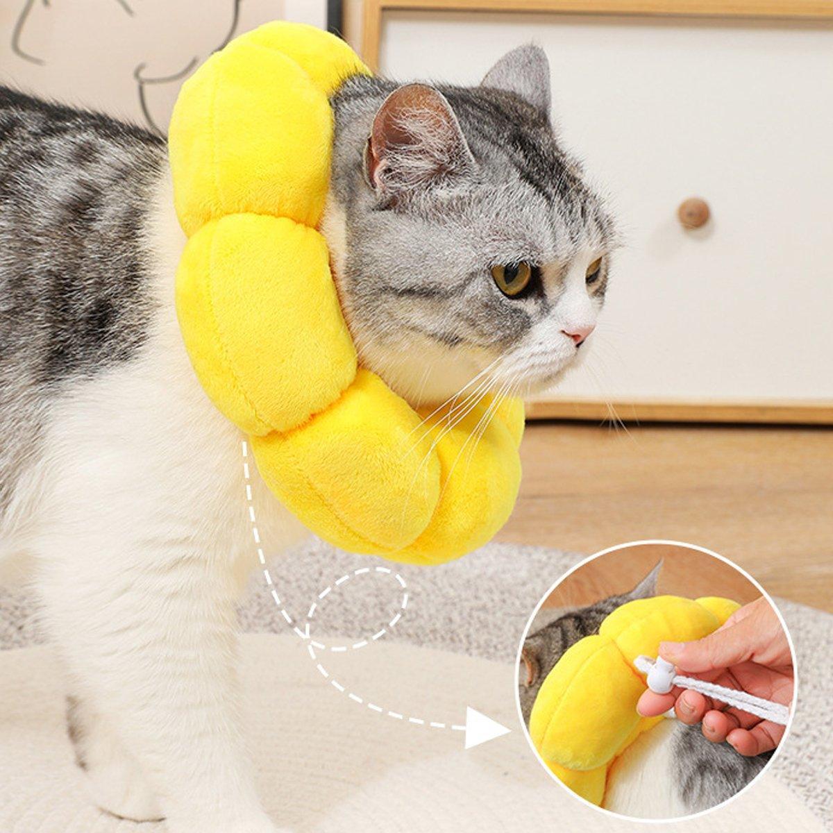 Sunflower Elizabeth Collar for Cats and Dogs Anti Licking Sterilization Headgear - L V528-TYH-L-110911