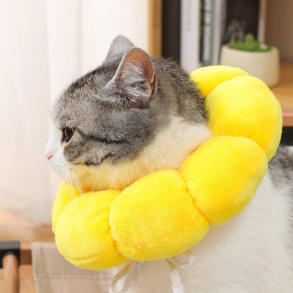Sunflower Elizabeth Collar for Cats and Dogs Anti Licking Sterilization Headgear - S V528-TYH-S-841660