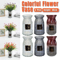 2 Pcs Glass Vase Hydroponic Flower Arrangement Vase for Living Room Decoration - Transparent V528-VASE-TRANSPARENT-2PCS-520055