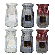 2 Pcs Glass Vase Hydroponic Flower Arrangement Vase for Living Room Decoration - Transparent V528-VASE-TRANSPARENT-2PCS-520055