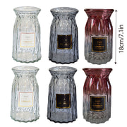 2 Pcs Glass Vase Hydroponic Flower Arrangement Vase for Living Room Decoration - Transparent V528-VASE-TRANSPARENT-2PCS-520055