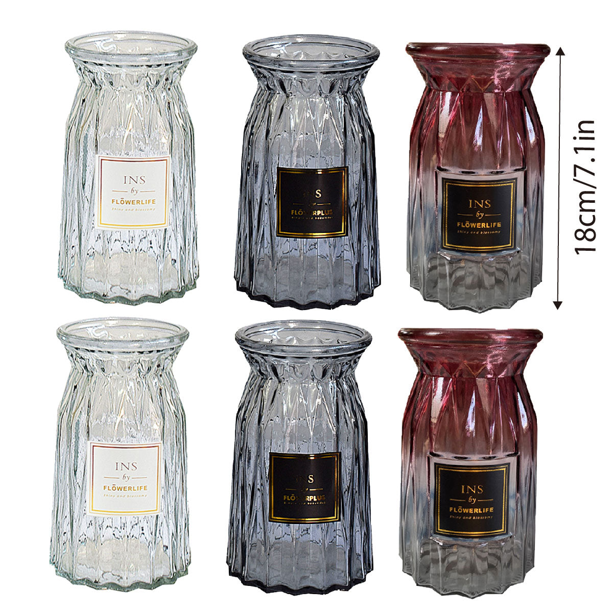 2 Pcs Glass Vase Hydroponic Flower Arrangement Vase for Living Room Decoration - Transparent V528-VASE-TRANSPARENT-2PCS-520055