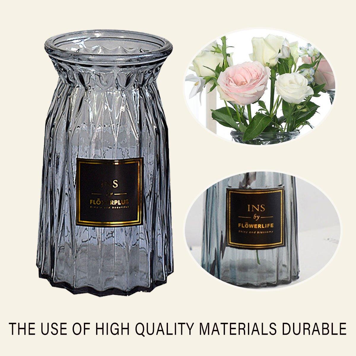 2 Pcs Glass Vase Hydroponic Flower Arrangement Vase for Living Room Decoration - Transparent V528-VASE-TRANSPARENT-2PCS-520055
