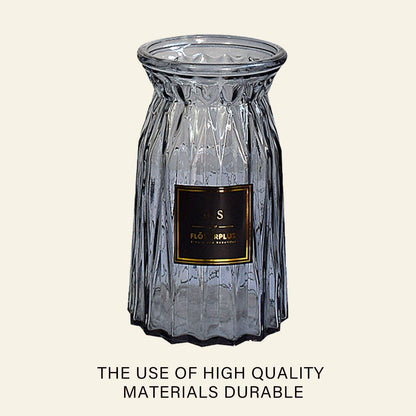 2 Pcs Glass Vase Hydroponic Flower Arrangement Vase for Living Room Decoration - Transparent V528-VASE-TRANSPARENT-2PCS-520055