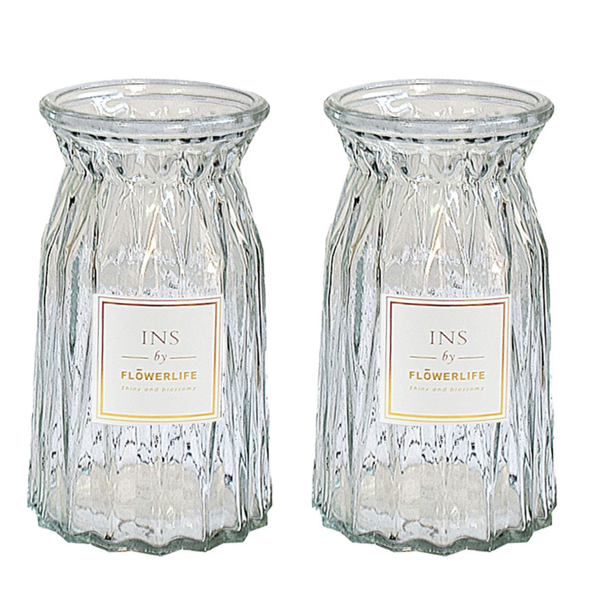 2 Pcs Glass Vase Hydroponic Flower Arrangement Vase for Living Room Decoration - Transparent V528-VASE-TRANSPARENT-2PCS-520055