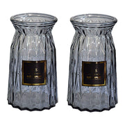 2 Pcs Glass Vase Hydroponic Flower Arrangement Vase for Living Room Decoration - Transparent V528-VASE-TRANSPARENT-2PCS-520055