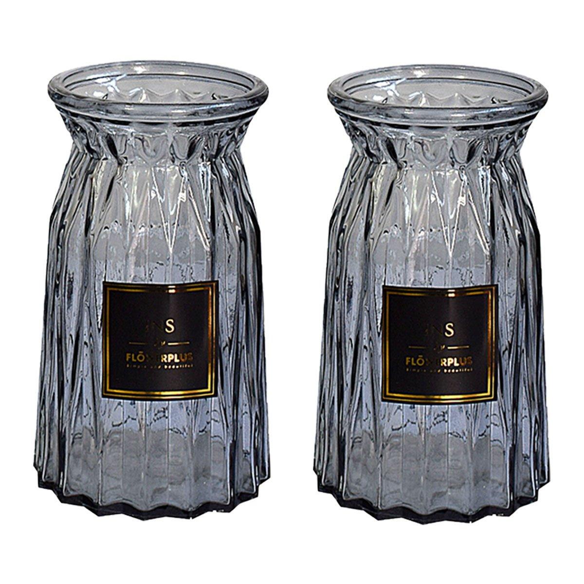 2 Pcs Glass Vase Hydroponic Flower Arrangement Vase for Living Room Decoration - Transparent V528-VASE-TRANSPARENT-2PCS-520055
