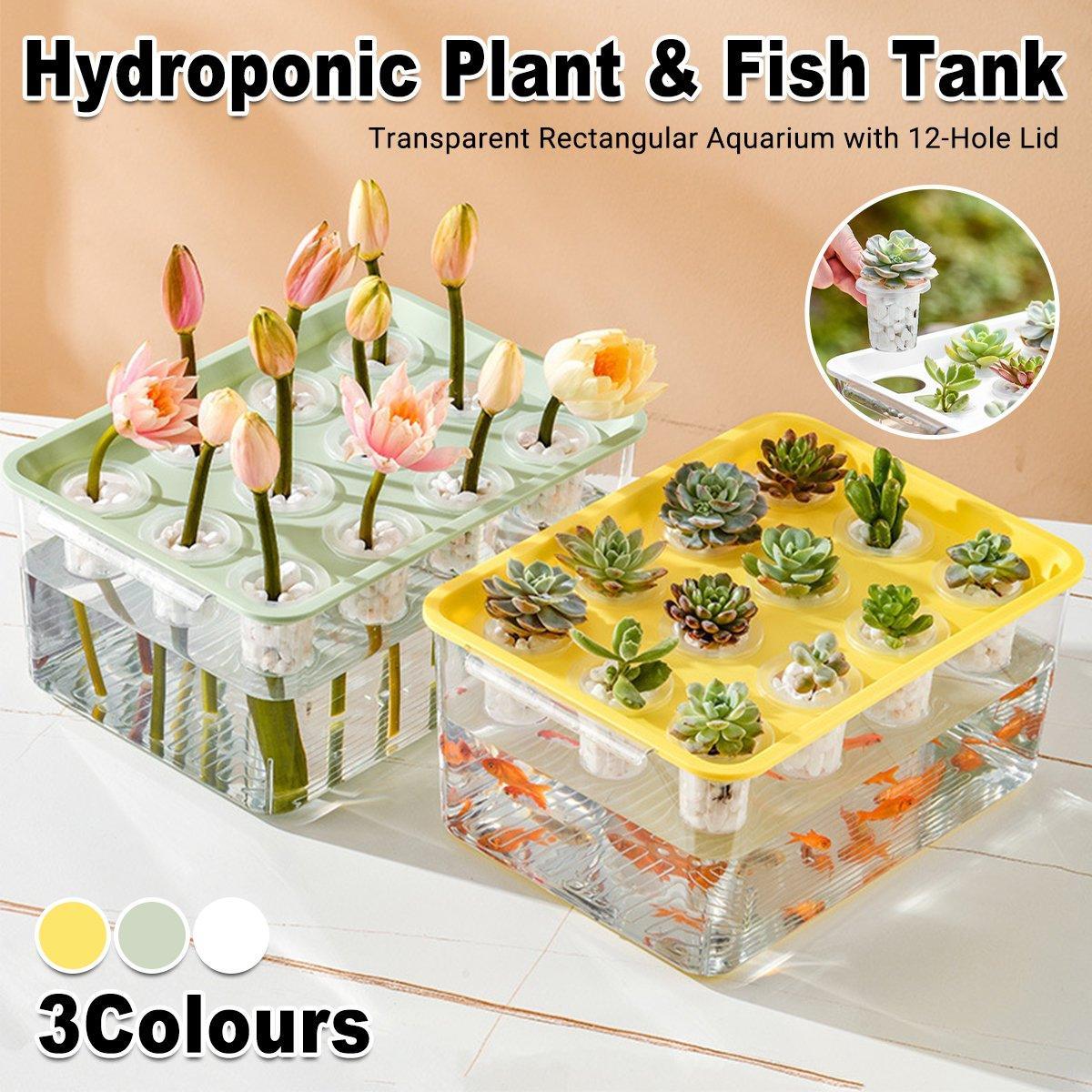 Transparent Rectangular Aquarium 12Hole Lid Portable Hydroponic Plant Fish Tank - Green V528-WATER-PLANTING-BOX-GREEN-327770