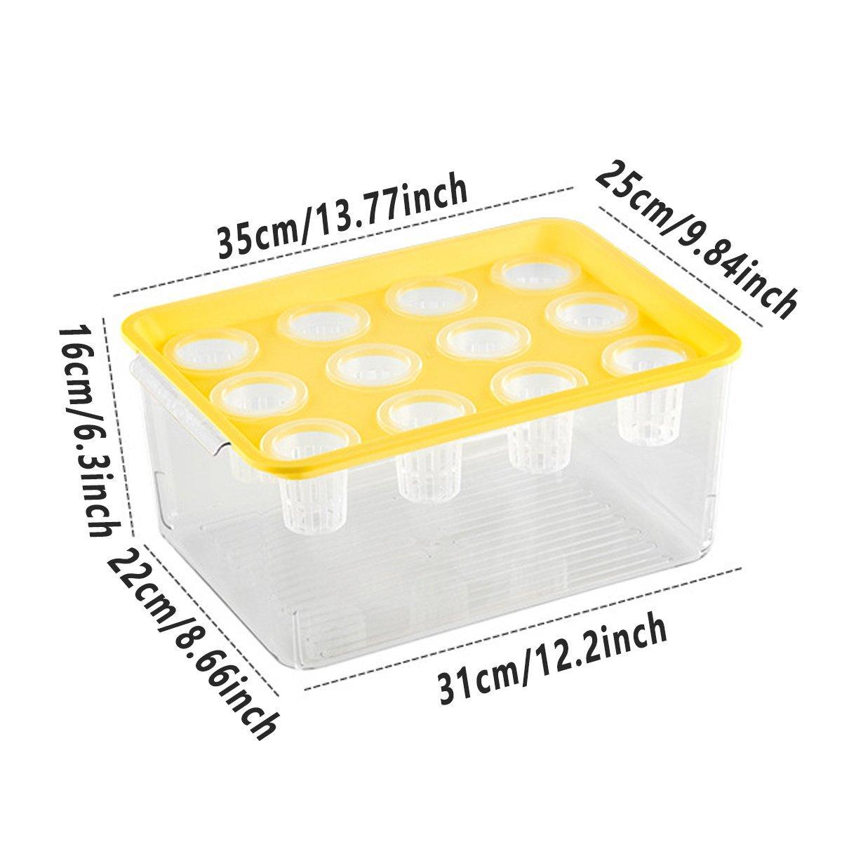 Transparent Rectangular Aquarium 12Hole Lid Portable Hydroponic Plant Fish Tank - Green V528-WATER-PLANTING-BOX-GREEN-327770