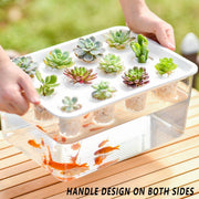 Transparent Rectangular Aquarium 12Hole Lid Portable Hydroponic Plant Fish Tank - Green V528-WATER-PLANTING-BOX-GREEN-327770