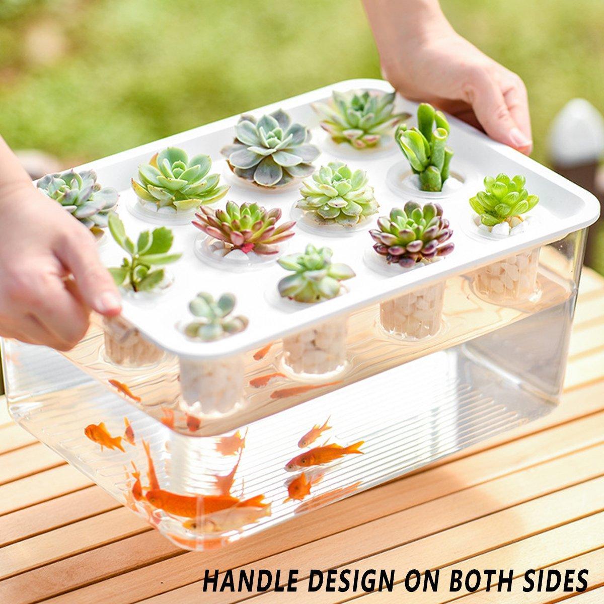 Transparent Rectangular Aquarium 12Hole Lid Portable Hydroponic Plant Fish Tank - Green V528-WATER-PLANTING-BOX-GREEN-327770