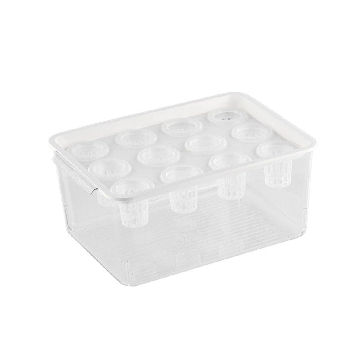 Transparent Rectangular Aquarium 12Hole Lid Portable Hydroponic Plant Fish Tank - Green V528-WATER-PLANTING-BOX-GREEN-327770