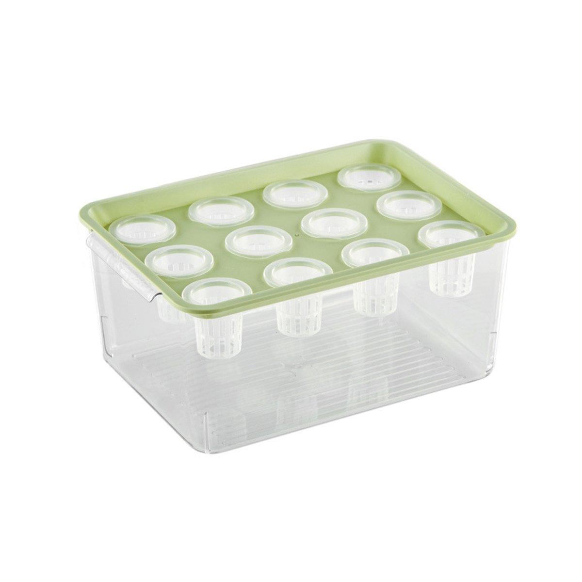 Transparent Rectangular Aquarium 12Hole Lid Portable Hydroponic Plant Fish Tank - Green V528-WATER-PLANTING-BOX-GREEN-327770