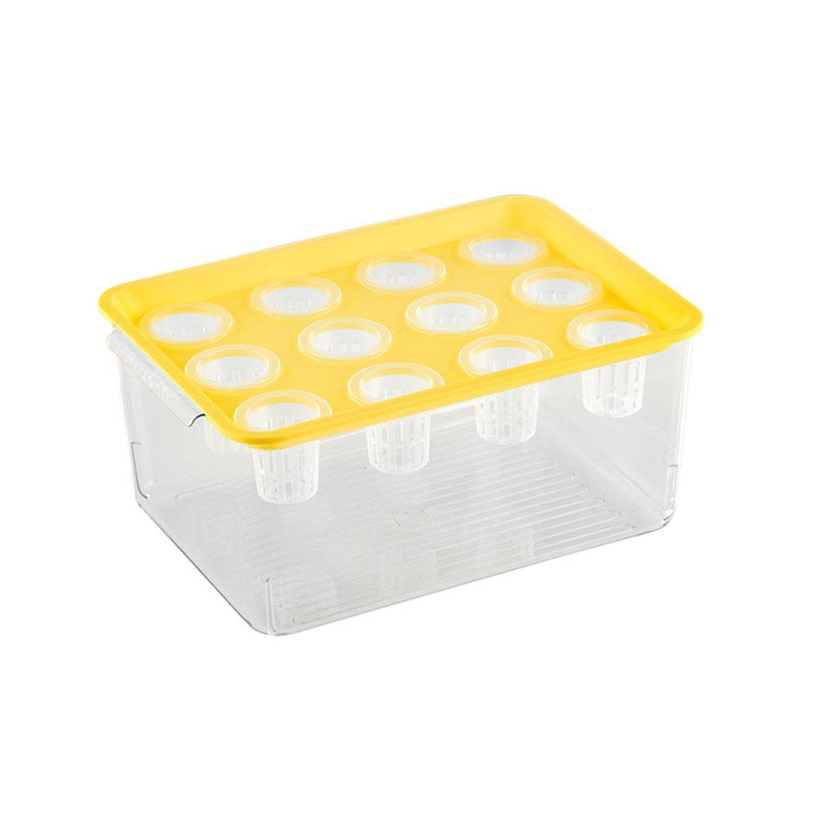 Transparent Rectangular Aquarium 12Hole Lid Portable Hydroponic Plant Fish Tank - Green V528-WATER-PLANTING-BOX-GREEN-327770