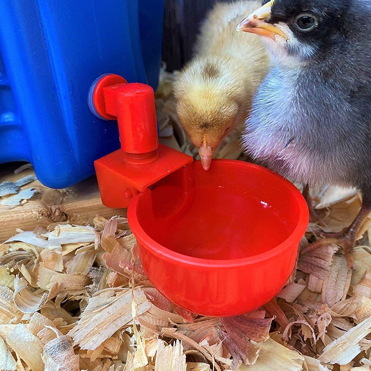 6x Automatic Chicken Water Cup Waterer Poultry Drinking Bowl Feeder Drinker Tool V528-WATERER-RED-6PCS-194114