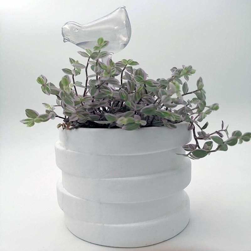 Automatic Self Plant Watering Glass Bulbs Water Feeder Indoor Irrigation Outdoor - Pentagram V528-WATERFEEDER-PENTAGRAM-675673