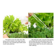 Automatic Self Plant Watering Glass Bulbs Water Feeder Indoor Irrigation Outdoor - Pentagram V528-WATERFEEDER-PENTAGRAM-675673