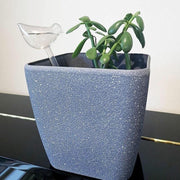 Automatic Self Plant Watering Glass Bulbs Water Feeder Indoor Irrigation Outdoor - Pentagram V528-WATERFEEDER-PENTAGRAM-675673