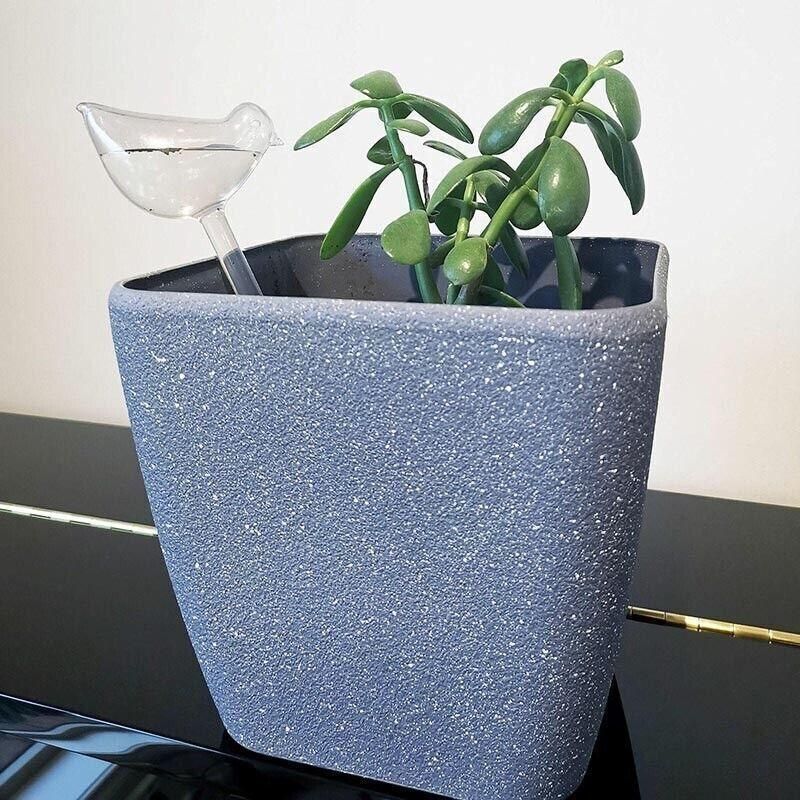 Automatic Self Plant Watering Glass Bulbs Water Feeder Indoor Irrigation Outdoor - Pentagram V528-WATERFEEDER-PENTAGRAM-675673