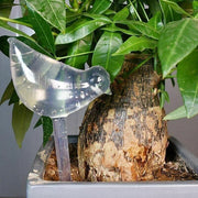 Automatic Self Plant Watering Glass Bulbs Water Feeder Indoor Irrigation Outdoor - Pentagram V528-WATERFEEDER-PENTAGRAM-675673