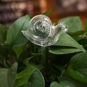 Automatic Self Plant Watering Glass Bulbs Water Feeder Indoor Irrigation Outdoor - Pentagram V528-WATERFEEDER-PENTAGRAM-675673