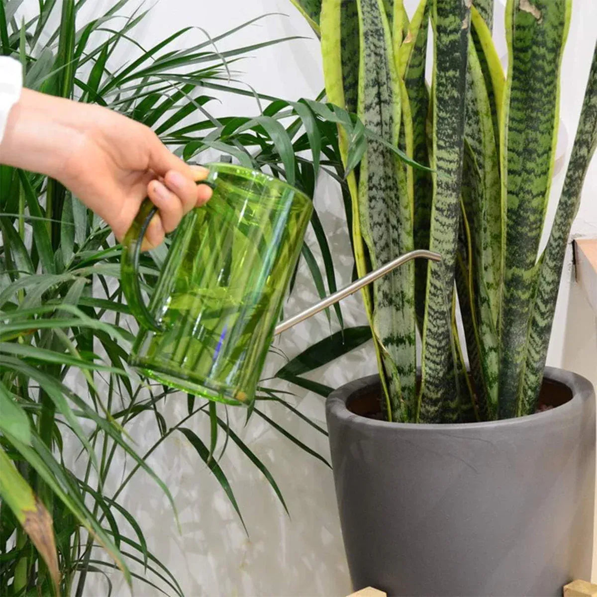 Watering Can Long Spout For Indoor Outdoor Garden Potted Plants Flowers Use - Transparent V528-WATERING-TM-749094