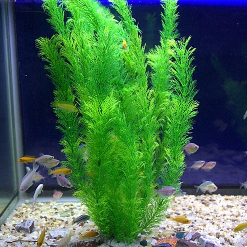 30cm Artificial Aquarium Plant Plastic Water Grass Decoration for Fish Tank V528-WATERPLANT-224884