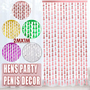 Metallic Tinsel Curtain 2m x 1m Hens Party Backdrop Foil Fringe Hanging Decor - Silver V528-WILLYTINSEL-SILVER-421162