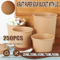 250x Biodegradable Kraft Paper Soup Bucket with Lid Takeaway Tubs Cups - 250ML (8OZ) V528-XJ00022-8-250PCS-99856
