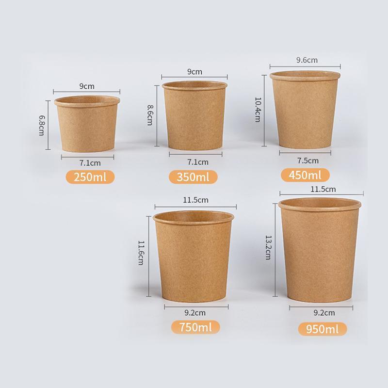 250x Biodegradable Kraft Paper Soup Bucket with Lid Takeaway Tubs Cups - 250ML (8OZ) V528-XJ00022-8-250PCS-99856