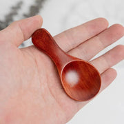 5PCS Mini Wooden Spoons Natural Wood Spice Condiment Dessert Scoops - Red V528-XJ00559-RED-5PCS-964568