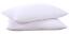 Puredown Goose Down and Feather Pillow Inserts for Sleeping, 100% Cotton Fabric Cover Bed Pillows, Set of 2, V541-A-SG-PD-DP15021-K