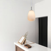Briella Glass Pendant Light V558-LL002PL067