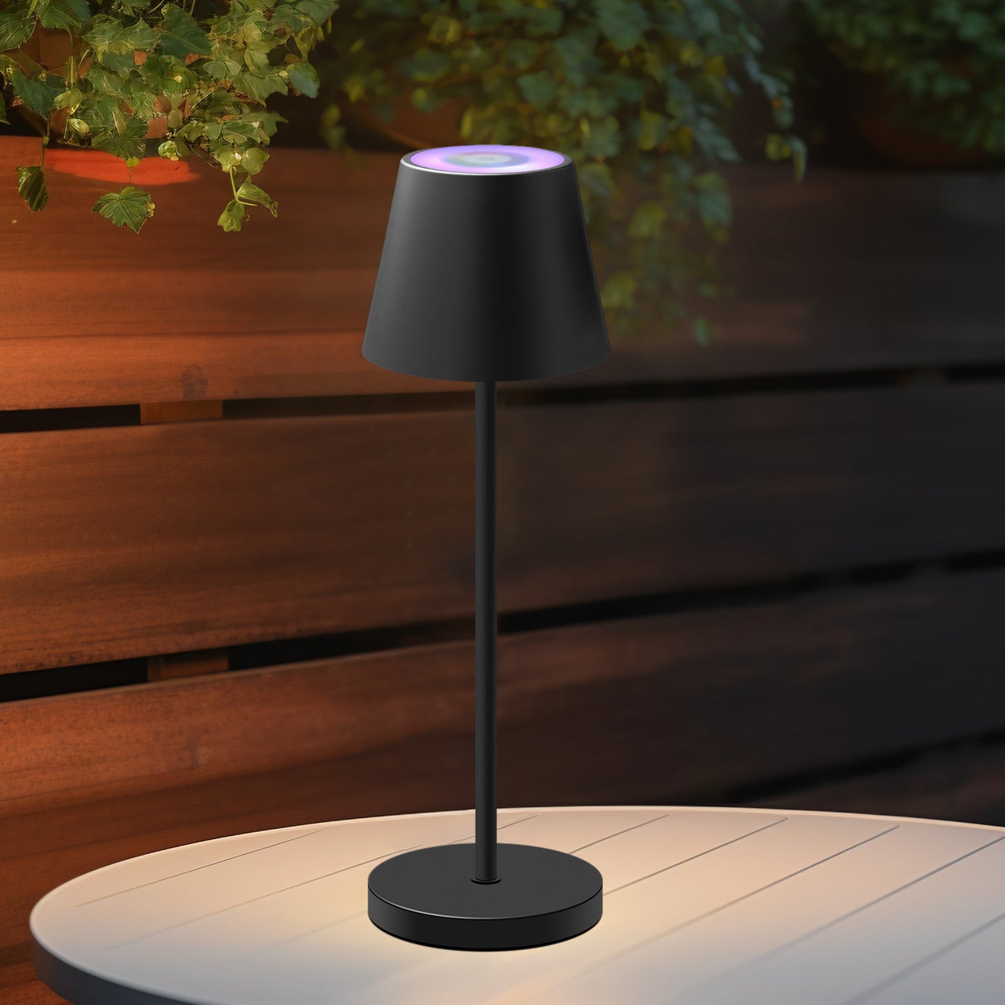 Enoki Portable RGB Table Lamp - Black V558-LL0516B