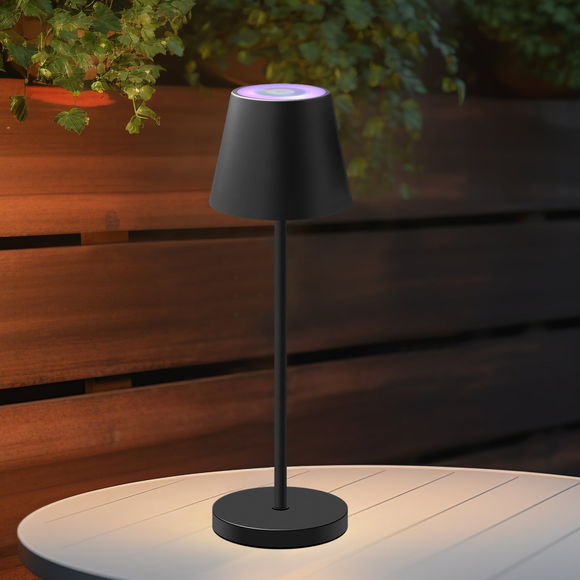 Enoki Portable RGB Table Lamp - Black V558-LL0516B