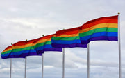 3x DELUXE RAINBOW GAY PRIDE FLAG Banner 150x90cm 3x5ft w Metal Eyelets BULK V563-13250-3PCS