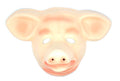 Animal Head Face Mask Halloween Costume Party Toys Adult Kids - Pig V563-17600-PIG