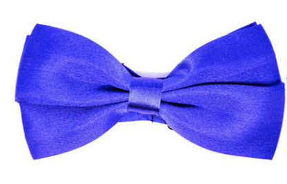 Mens BOW TIE Wedding Tuxedo Formal Bestman Necktie Classic Plain Party Pre-tied - Blue V563-19411-BLU