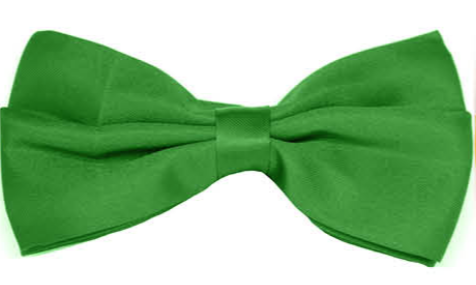 Mens BOW TIE Wedding Tuxedo Formal Bestman Necktie Classic Plain Party - Green V563-19411-GRN