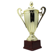 Large Classic Gold Trophy Cup Novelty Winners Prize Solid Achievement Award V563-19949