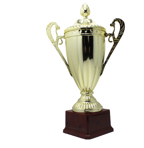 Large Classic Gold Trophy Cup Novelty Winners Prize Solid Achievement Award V563-19949