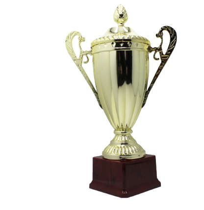 Large Classic Gold Trophy Cup Novelty Winners Prize Solid Achievement Award V563-19949