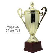 Large Classic Gold Trophy Cup Novelty Winners Prize Solid Achievement Award V563-19949