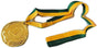 METAL WINNER GOLD MEDAL 1st Party Favours Sports Day 40cm Ribbon - Green/Gold V563-2142