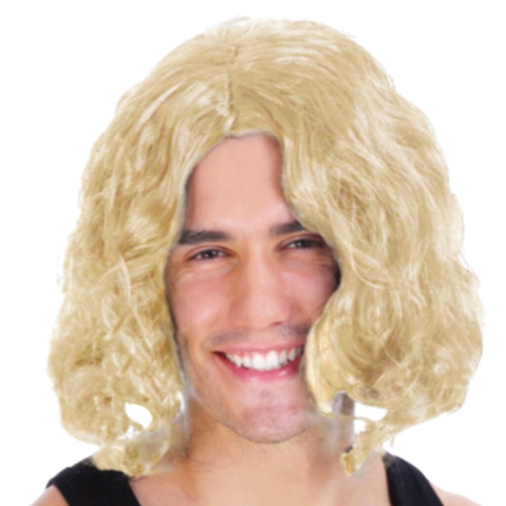 MENS WAVY WIG Curly Long Hair Disco Punk Rock Party Costume 60s 70s - Blonde V563-22705-BLONDE