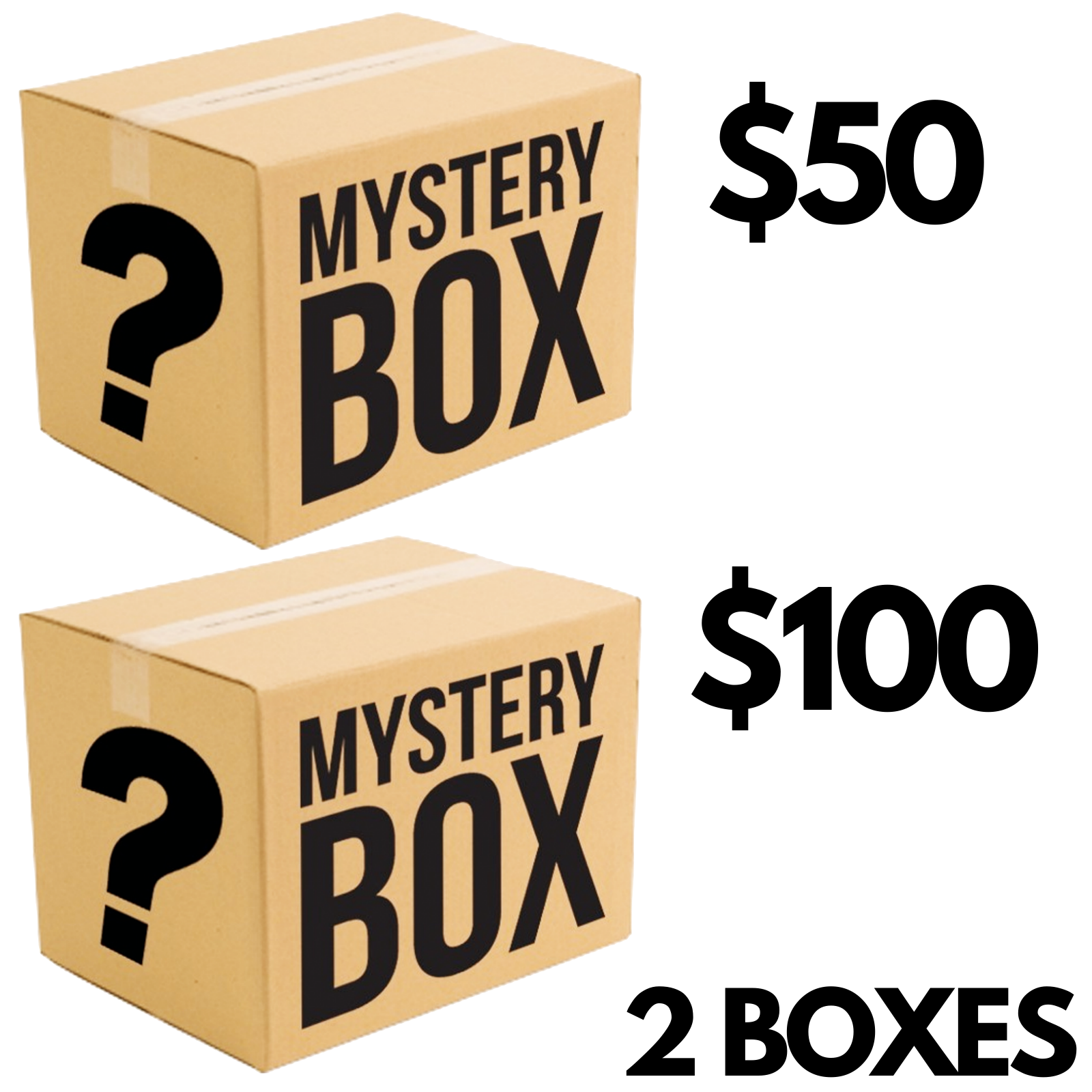 2 Boxes Mystery Box Set of Assorted Lucky Dip Random Products (Medium & Large Box) V563-50100DOLLARMYSTERYBOX